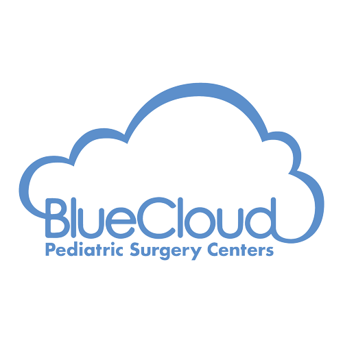Blue Cloud logo